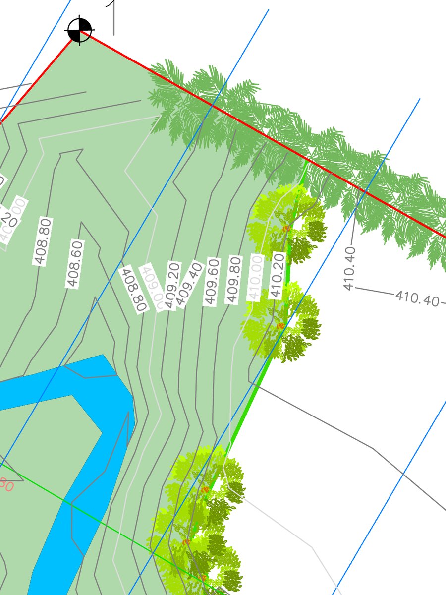Detalle del plano: línea verde que delimita la reserva y linderos en rojo